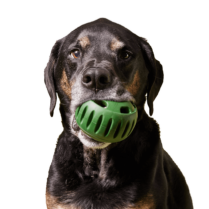 Pupsicle + FREE Treat Mould