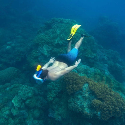 Full Face Snorkel Mask
